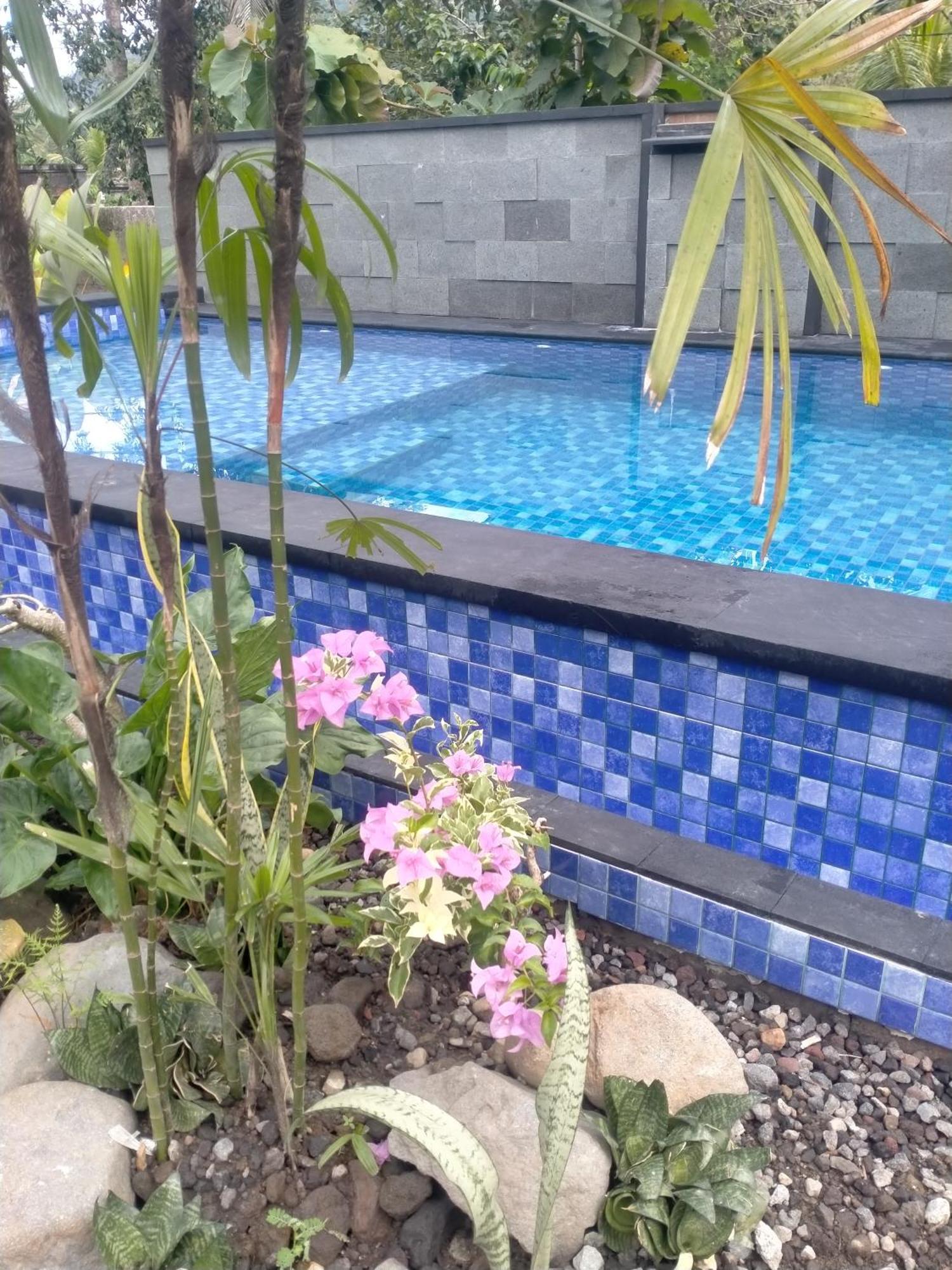 Intan Sidemen Villa Екстер'єр фото